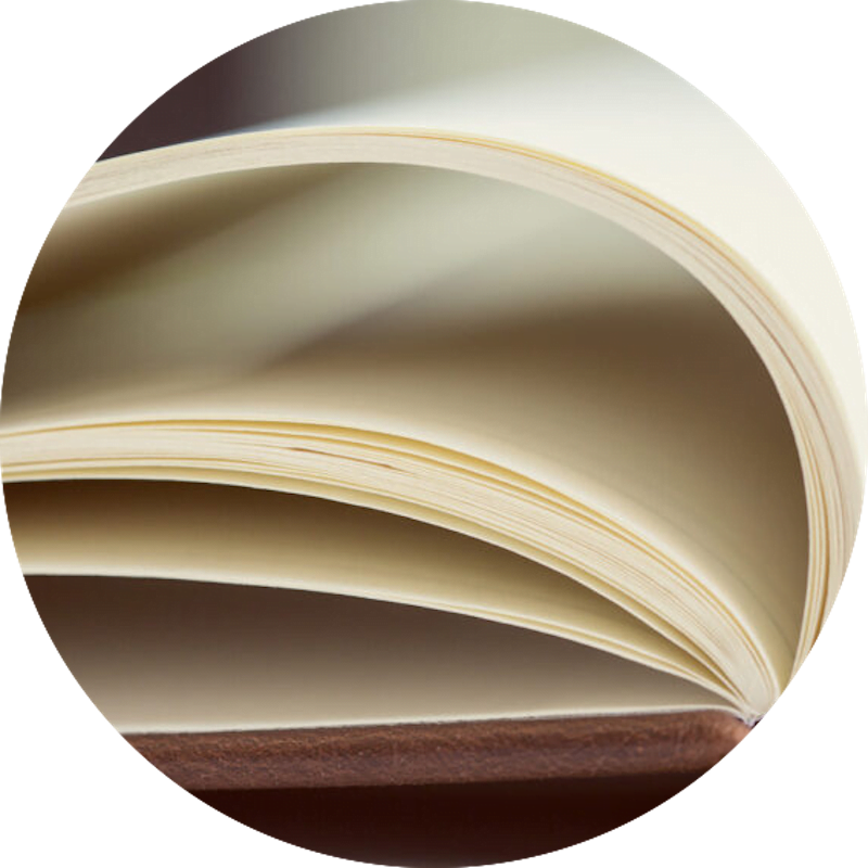Closeup of the pages of an open book